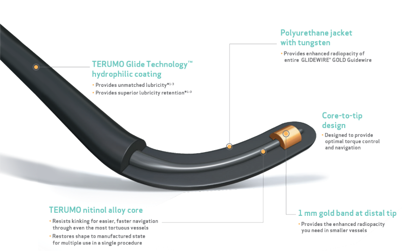 Rendering of GLIDEWIRE® Gold Hydrophilic Coated Guidewire