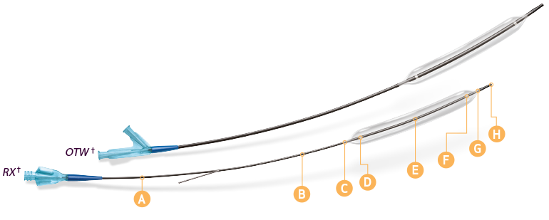 Product image: rapid exchange and over-the-wire catheters